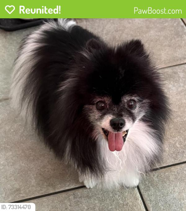 Reunited Female Dog last seen Waterford Way, Carrollton, TX 75006