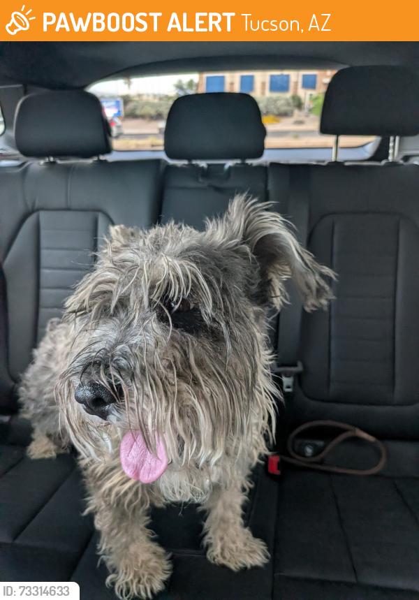 Found/Stray Male Dog last seen Golf links and Pantano, Tucson, AZ 85730