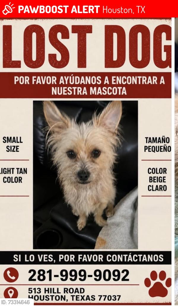 Lost Male Dog last seen Houston tx, Houston, TX 77037