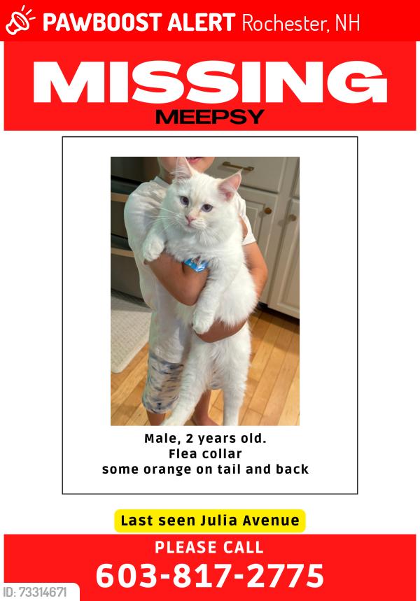 Lost Male Cat last seen Elf’s Landscaping, Rochester, NH 03867