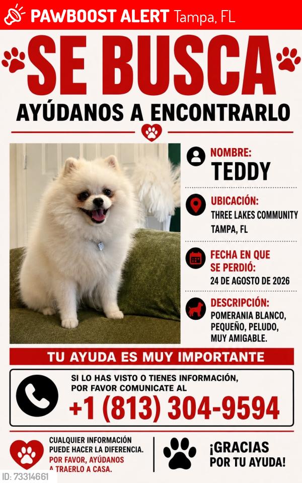 Lost Male Dog last seen Sheldon Rd, Tampa, FL 33635