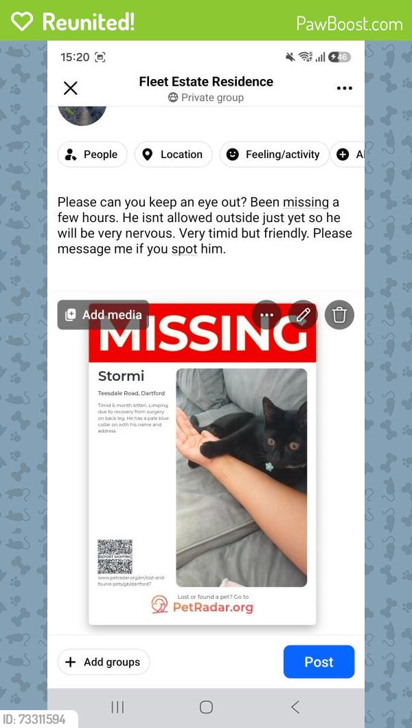Reunited Male Cat last seen Teesdale road, Kent, England 