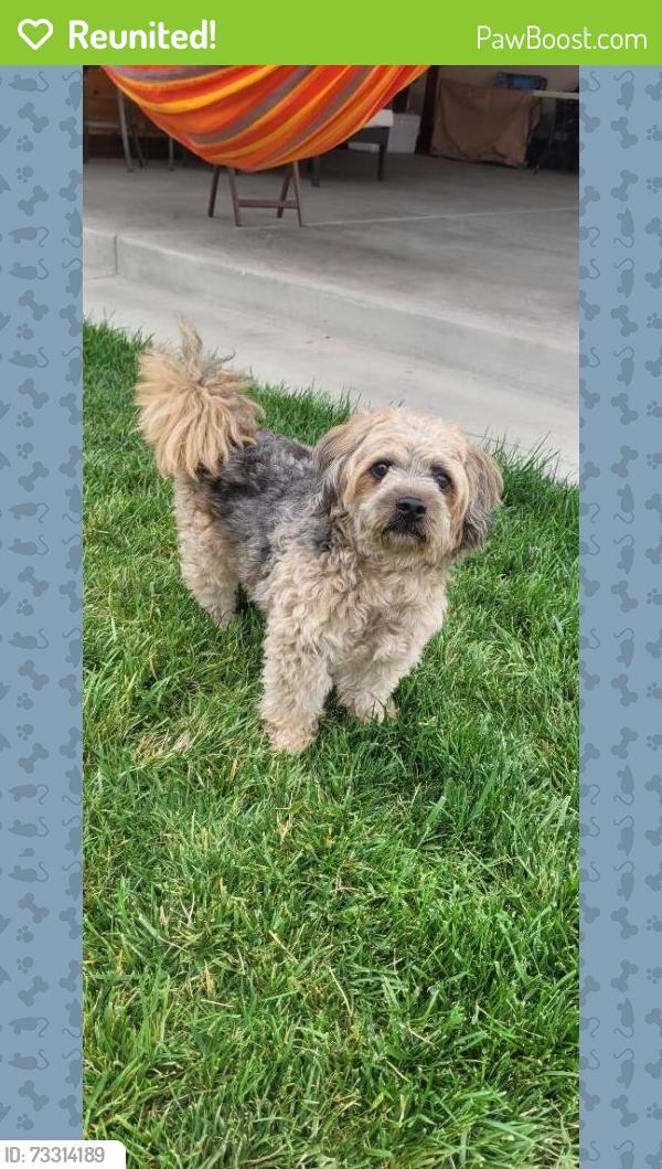 Reunited Male Dog last seen Caleb Place in Fairway Park (near Sonic in Hayward), Hayward, CA 94544