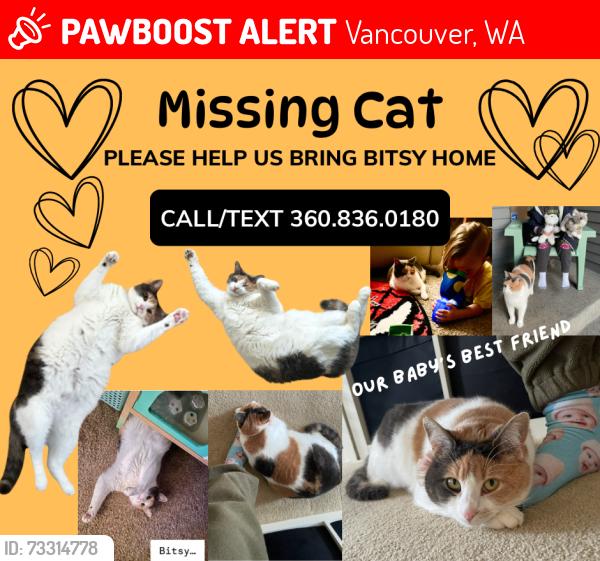 Lost Female Cat last seen NW 11th Ave. & NW 104th St., Vancouver, WA 98685