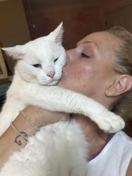 Reunited Male Cat last seen Youngs Farm Rd, Annapolis, MD 21403