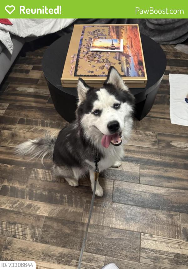 Reunited Male Dog last seen Locke and Lovell, Fort Worth, TX 76107