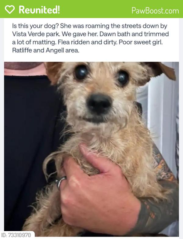 Reunited Female Dog last seen Ratliffe and Angell/Vista Verde Park, Norwalk, CA 90650