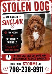 Lost Female Dog last seen 7th and Fillmore. Maywood il, Maywood, IL 60153