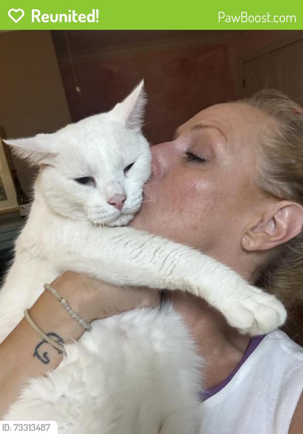 Reunited Male Cat last seen Youngs Farm Rd, Annapolis, MD 21403