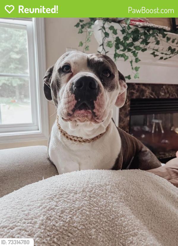 Reunited Male Dog last seen Barrington blvd, Parma Heights, OH 44130