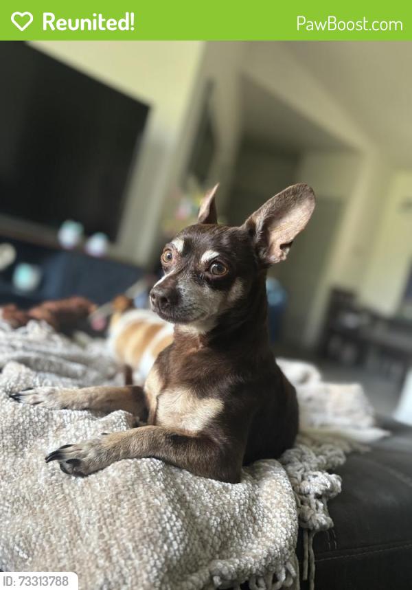 Reunited Male Dog last seen John Young Pwky, Orlando, FL 32839
