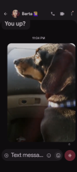 Lost Female Dog last seen Near Southside market, Birmingham, AL 35205