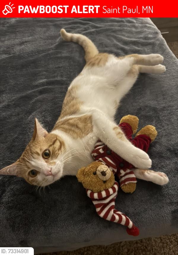 Lost Male Cat last seen Nearby Address: 812-888 N Dunlap St, St Paul, MN 55104, Saint Paul, MN 55104