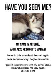 Lost Female Cat last seen E. Sequoia Way Eagle Mountain, Eagle Mountain, UT 84005