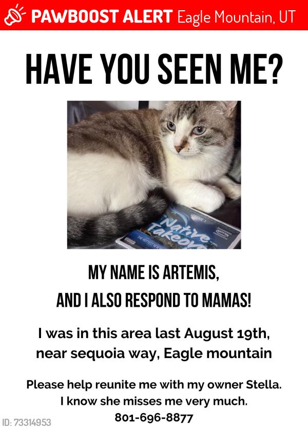Lost Female Cat last seen E. Sequoia Way Eagle Mountain, Eagle Mountain, UT 84005