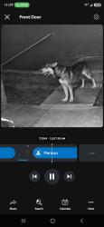 Found/Stray Female Dog last seen The hangar, San Antonio, TX 78209