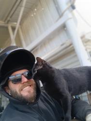 Lost Male Cat last seen Near quest dr, North Charleston, SC 29418