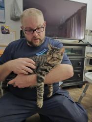 Reunited Male Cat last seen Maplewood roberta and lola, North Richland Hills, TX 76180