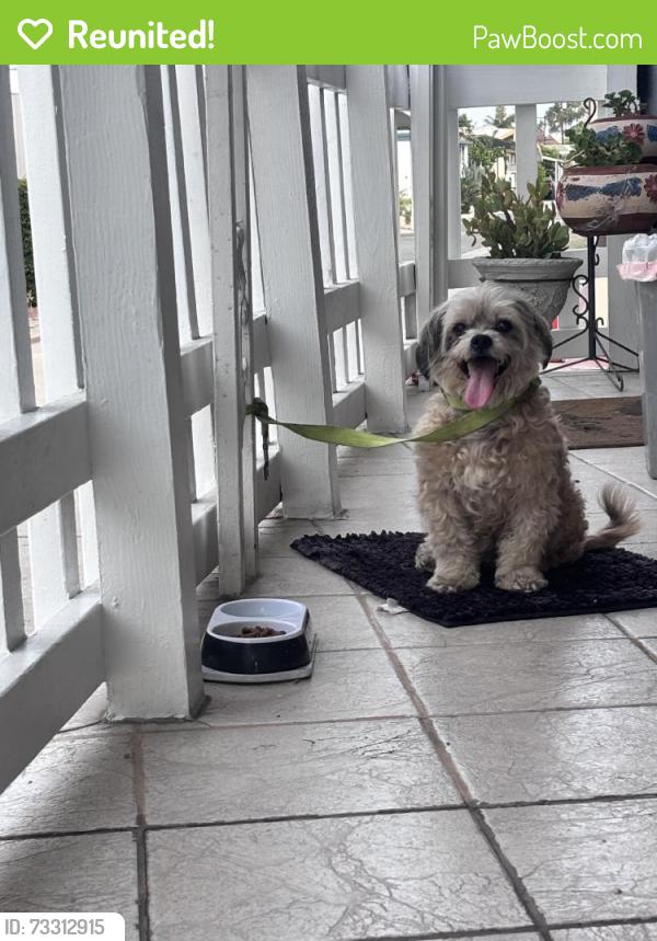 Reunited Male Dog last seen Near Imperial Hwy., Norwalk, CA 90650, USA, Norwalk, CA 90650