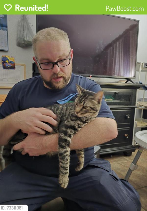 Reunited Male Cat last seen Maplewood roberta and lola, North Richland Hills, TX 76180