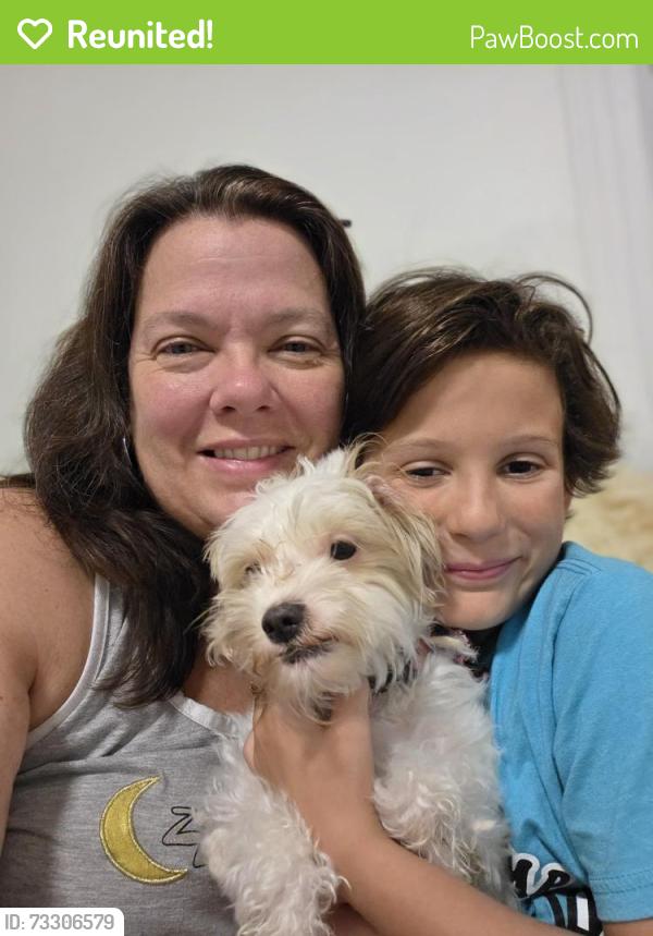 Reunited Female Dog last seen Darrah St, Philadelphia, PA 19124