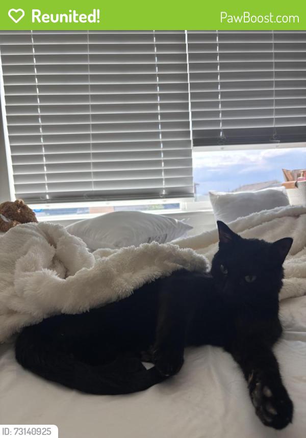 Reunited Male Cat last seen E byers pl, Aurora, CO 80018