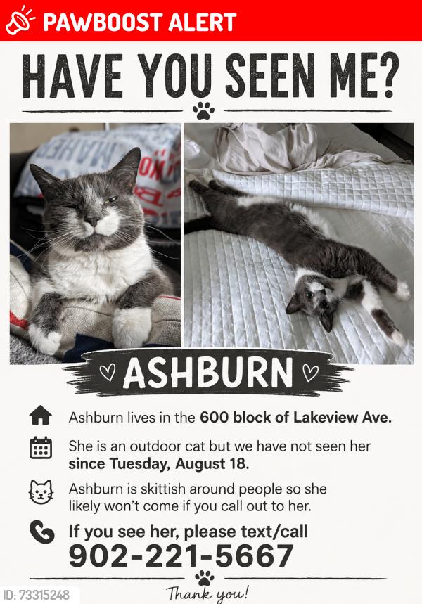 Lost Female Cat last seen Near Lakeview Ave, Middle Sackville, NS B4E 3B8