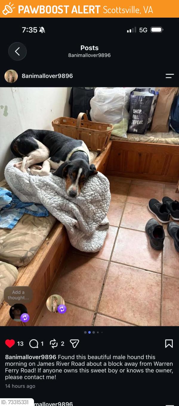 Found/Stray Male Dog last seen Warren ferry rd, Scottsville, VA 24590