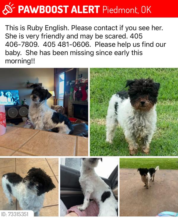 Lost Male Dog last seen Piedmont rd and Candice Dr NW, Piedmont, OK 73078
