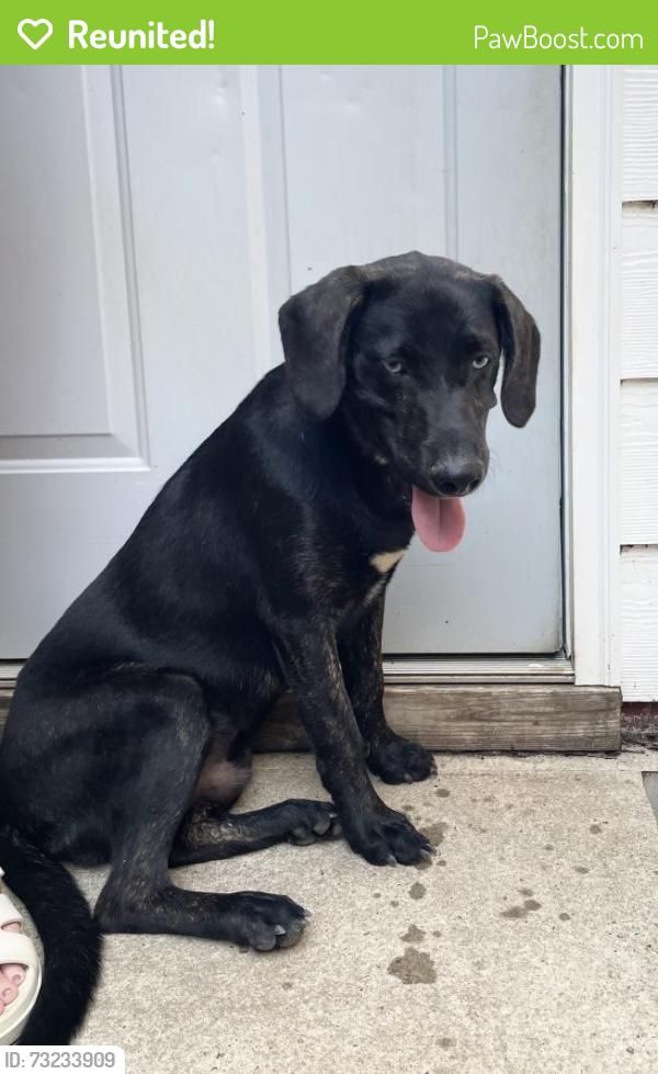 Reunited Male Dog last seen Linley Park, Anderson, SC 29622
