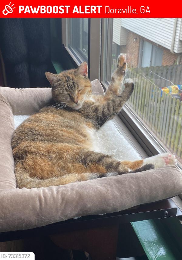 Lost Female Cat last seen Northcrest Rd, Doraville, GA 30340