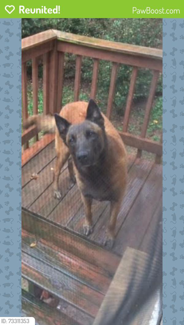 Reunited Male Dog last seen Moseley Crossing Court/Hemphill, Stockbridge, GA 30281