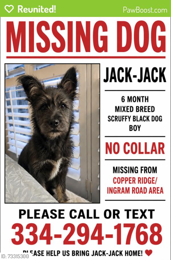 Reunited Male Dog last seen Ingram Road, Deatsville, AL 36022
