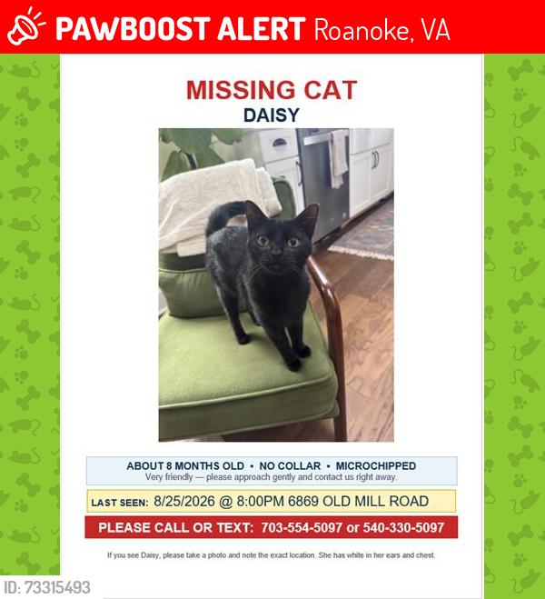 Lost Female Cat last seen Old mill rd near poages farm, Roanoke, VA 24018