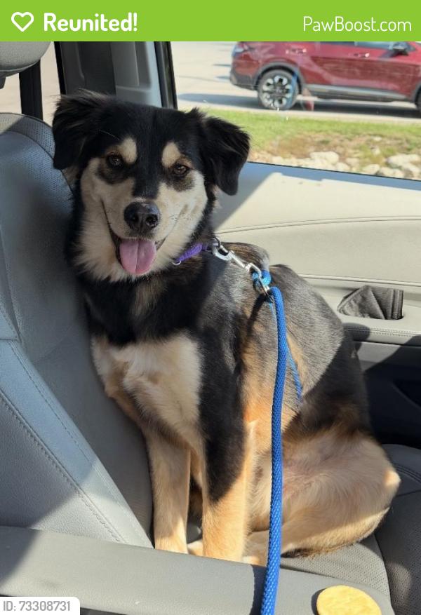 Reunited Male Dog last seen N Indian Creek Pkwy and N Regent Rd, Fox Point, WI 53217