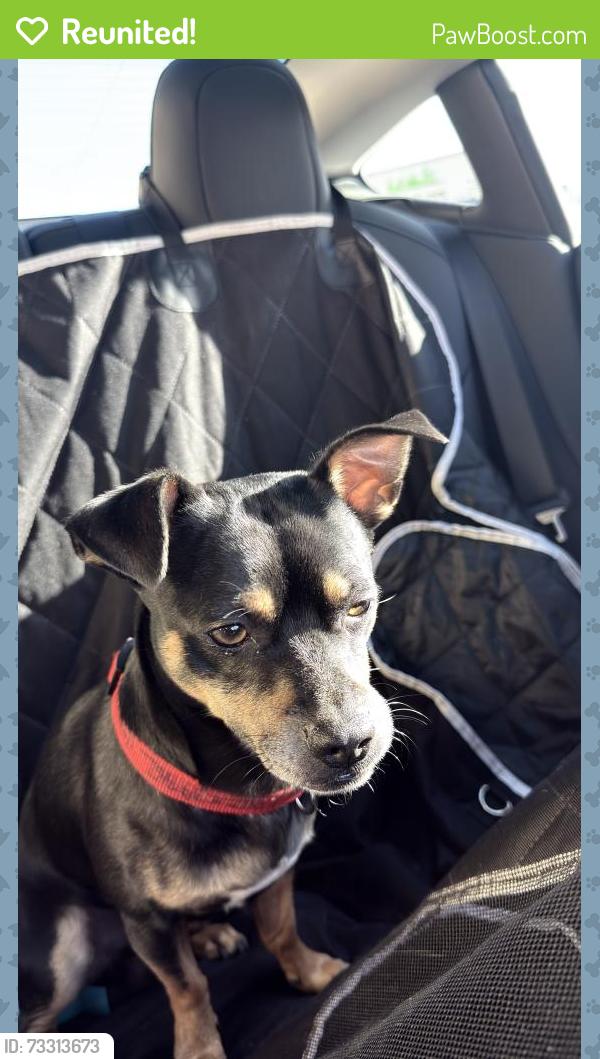 Reunited Male Dog last seen North Miami, North Miami, FL 33161