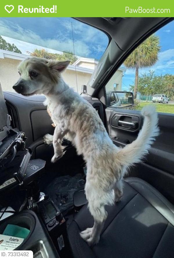 Reunited Male Dog last seen Port St. Lucie, Port St. Lucie, FL 34986