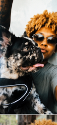 Lost Unknown Dog last seen Ingrid ave, San Diego, CA 92154