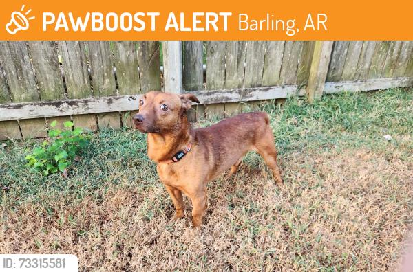 Found/Stray Male Dog last seen Meadow Lane, Barling, AR 72923