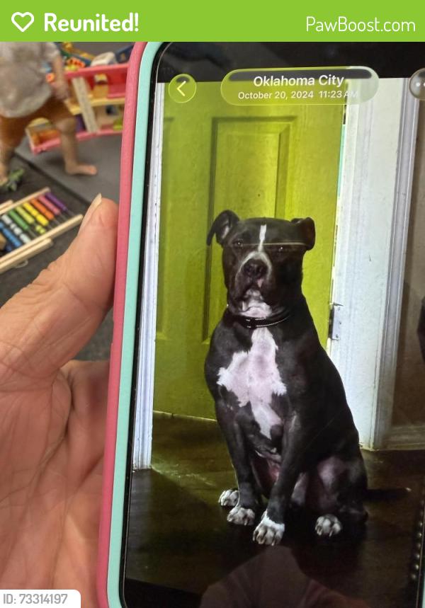 Reunited Male Dog last seen SW 112th and Grand OKC, Oklahoma City, OK 73116