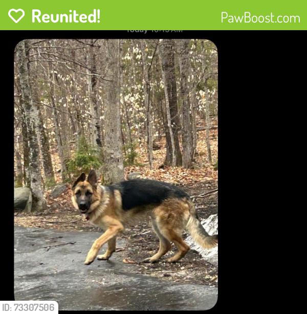 Reunited Male Dog last seen Near w. Boulevard Alexandria Virginia, Alexandria, VA 22308