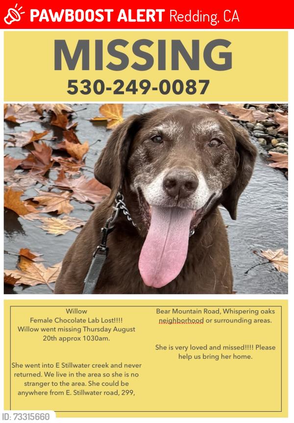 Lost Female Dog last seen E. Stillwater, Redding, CA 96003