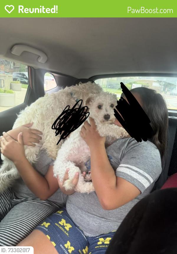 Reunited Female Dog last seen George Ave and Caroline Place, Waukegan, IL 60085