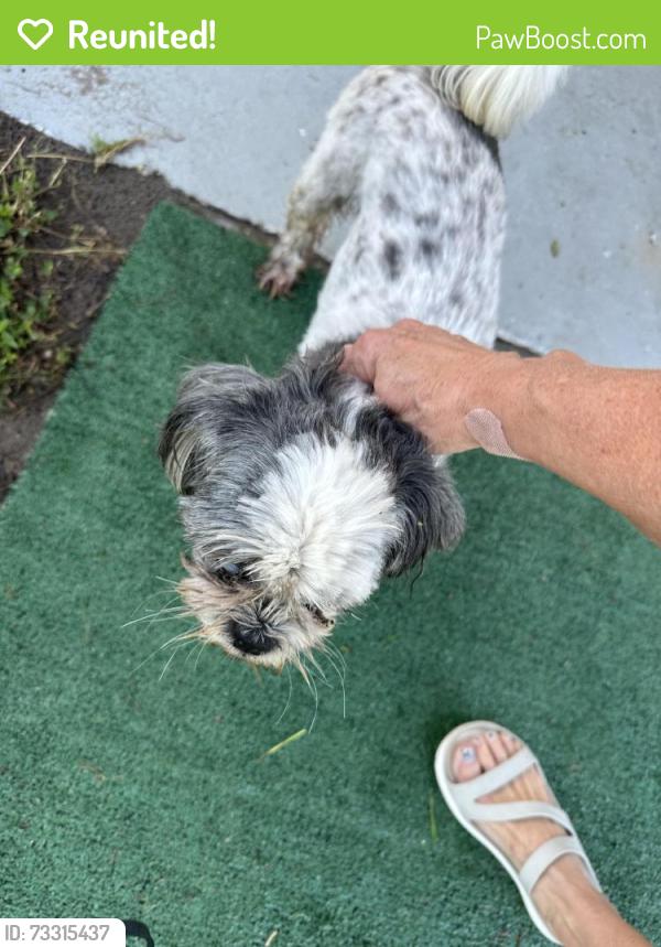 Reunited Female Dog last seen Ed douglas road cul de sac near Hidden view drive, Groveland, Groveland, FL 34736
