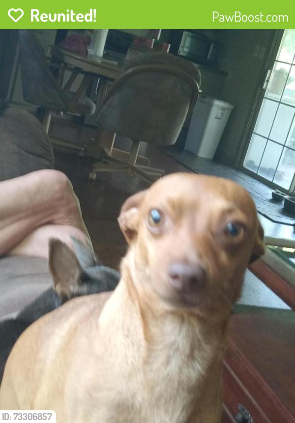 Reunited Male Dog last seen Washer camp rd., Trussville, AL 35173