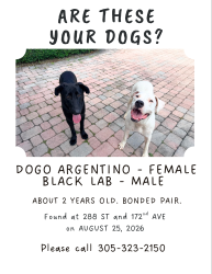 Found/Stray Unknown Dog last seen hmstd, Homestead, FL 33030