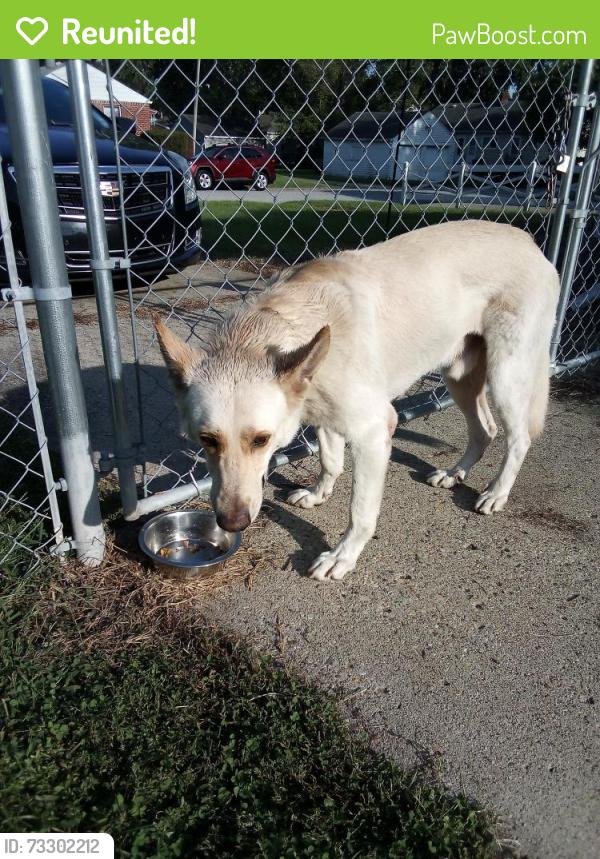 Reunited Male Dog last seen Christian Park near Sherman and Pleasant Run Parkway r, Indianapolis, IN 46201