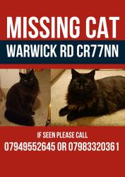 Reunited Male Cat last seen Warwick rd, Greater London, England 