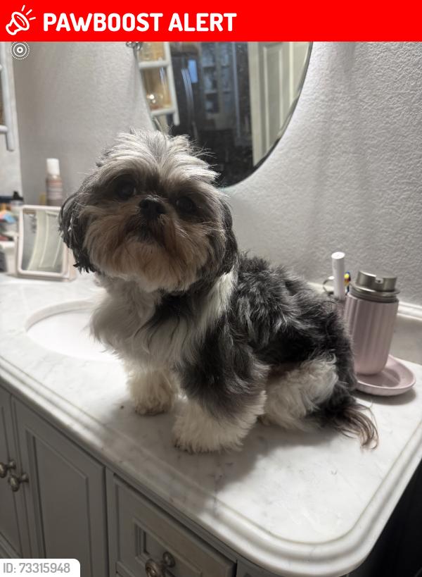 Lost Female Dog last seen Sandía Creek, Riverside County, CA 92590