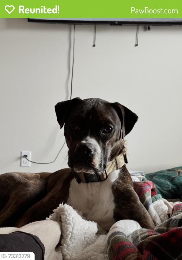 Reunited Female Dog last seen Near Stonewood Crossing Dr, Boiling Springs, SC 29316, USA, Boiling Springs, SC 29316